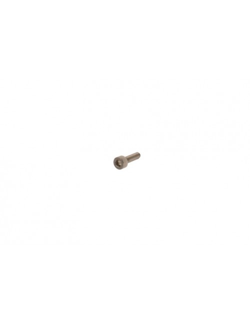 Cylindrical head screw 3 x 10 in stainless steel