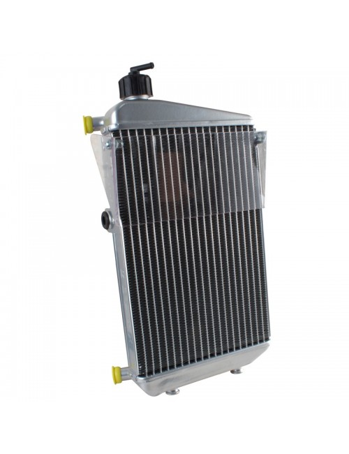 (1) do radiador Rotax DD2